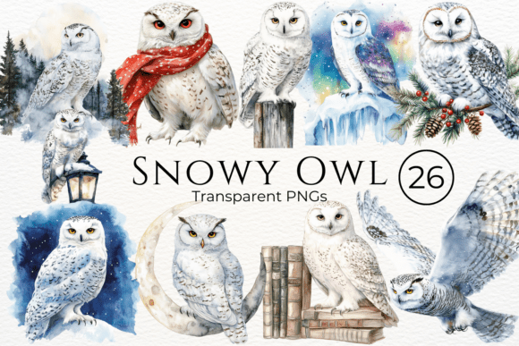 Download Snowy Owl Watercolor Clipart - Owl watercolor Collection