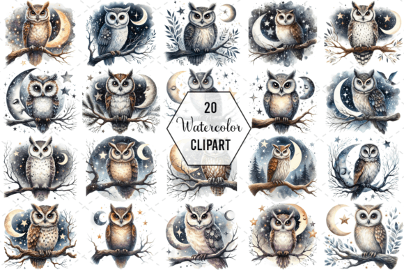 Download Nightwise Owl Watercolor Clipart Bundle - Premium Resources